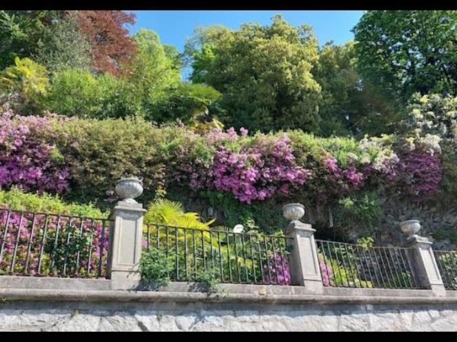 Casa Ilda Villa Orta San Giulio Eksteriør billede